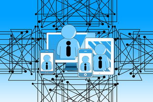 开云体育app官网-高校运动康复技术及应用研究,运动康复技术学陈建