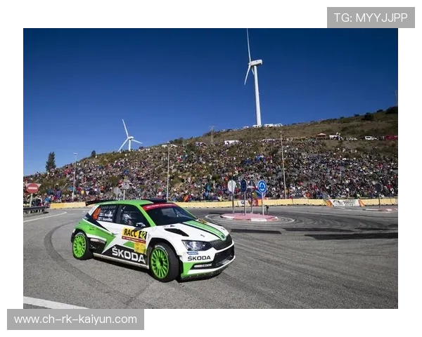 WRC代表未来：新能源技术在拉力赛中的应用，wrc拉力赛 车型