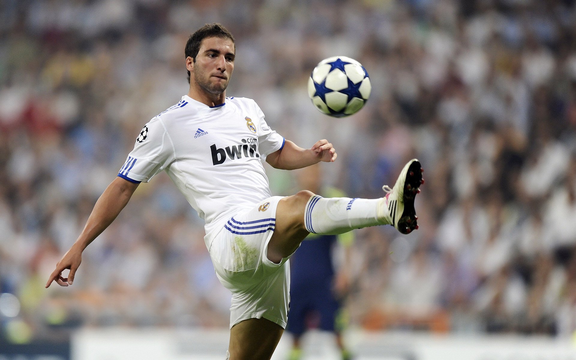 “阿根廷美洲狮队为未来设定新目标，走向全球”