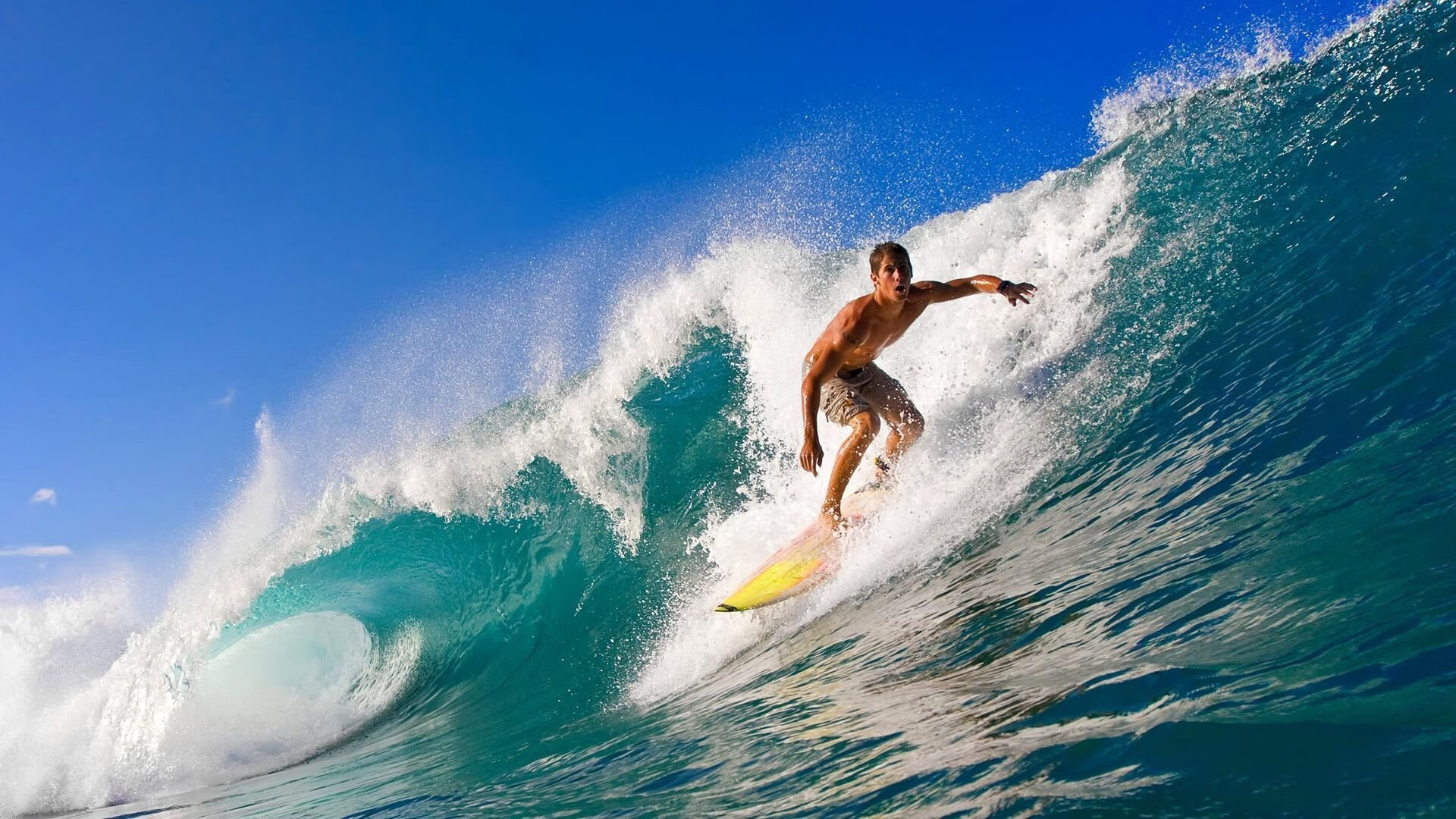 苏格兰橄榄球队在国际赛事中的表现逐年提升，苏格兰队简介